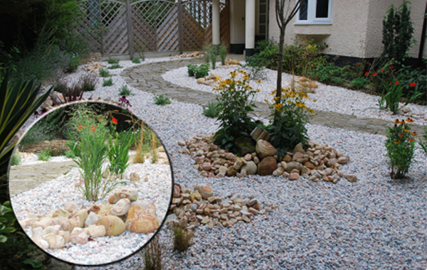 Lilliput Case Study Image