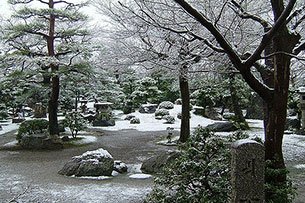 Top tips to keep your garden flourishing throughout Winter