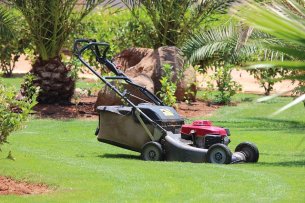 Exposing some of the most common Lawn Care Myths