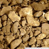 Oversized Rejects 40mm Plus