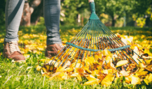 Preparing your garden for autumn