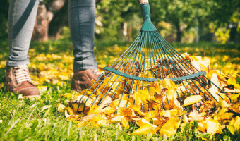 Preparing your garden for autumn