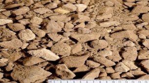 An Introduction to Scalpings 40mm