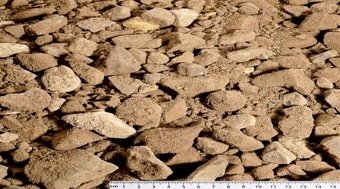 An Introduction to Scalpings 40mm