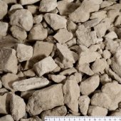 Type 1 Dorset Variant 