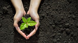 A handy guide to soil