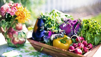 Gardening tips for beginners - part two